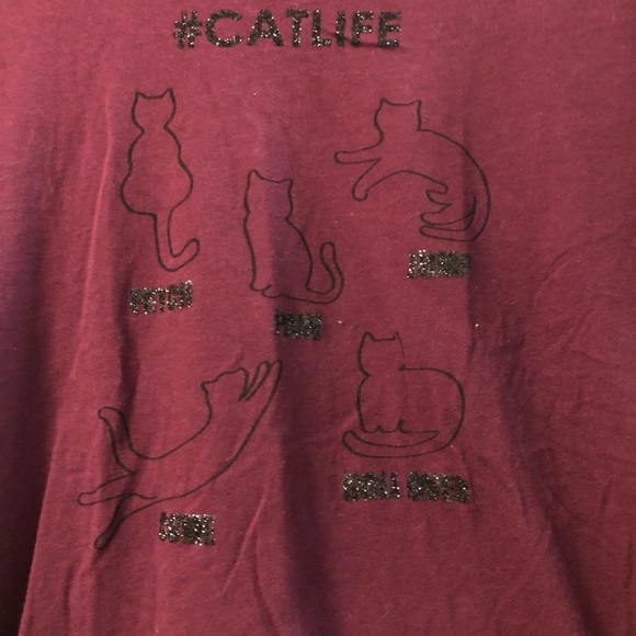 3 for $15 Cat Crop T-Shirt - Picture 2 of 4